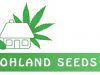 Hohland Seeds